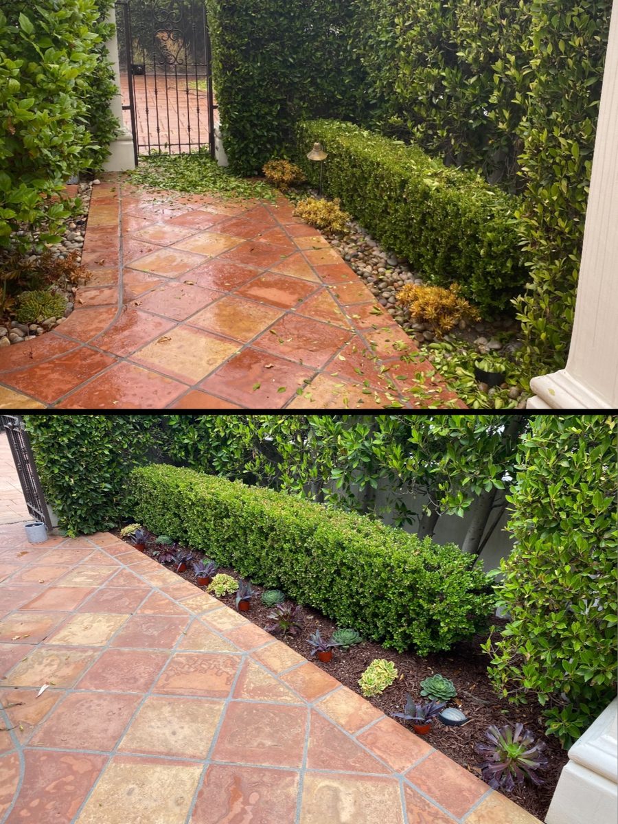 Before and after garden bed restoration with terracotta tile pathway