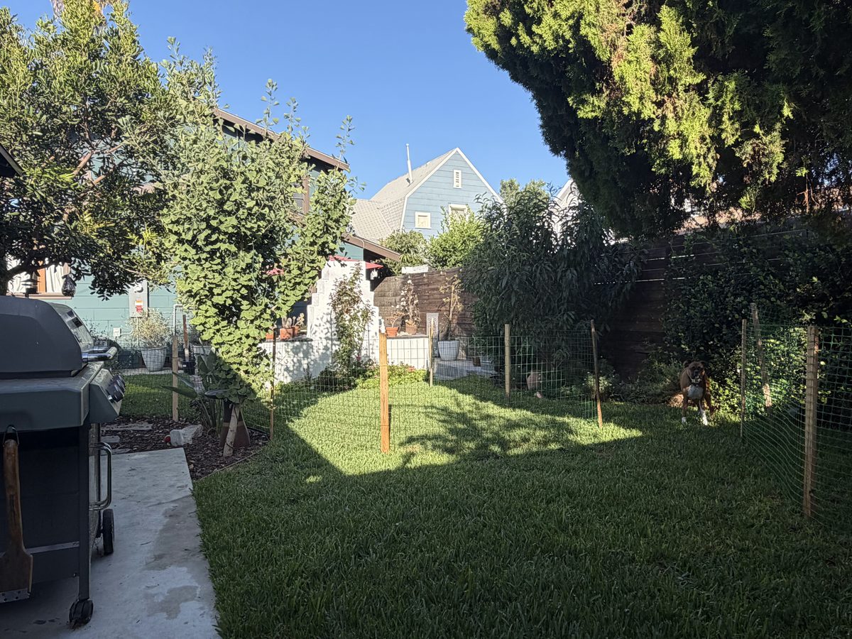 Backyard garden with artificial turf and natural landscaping