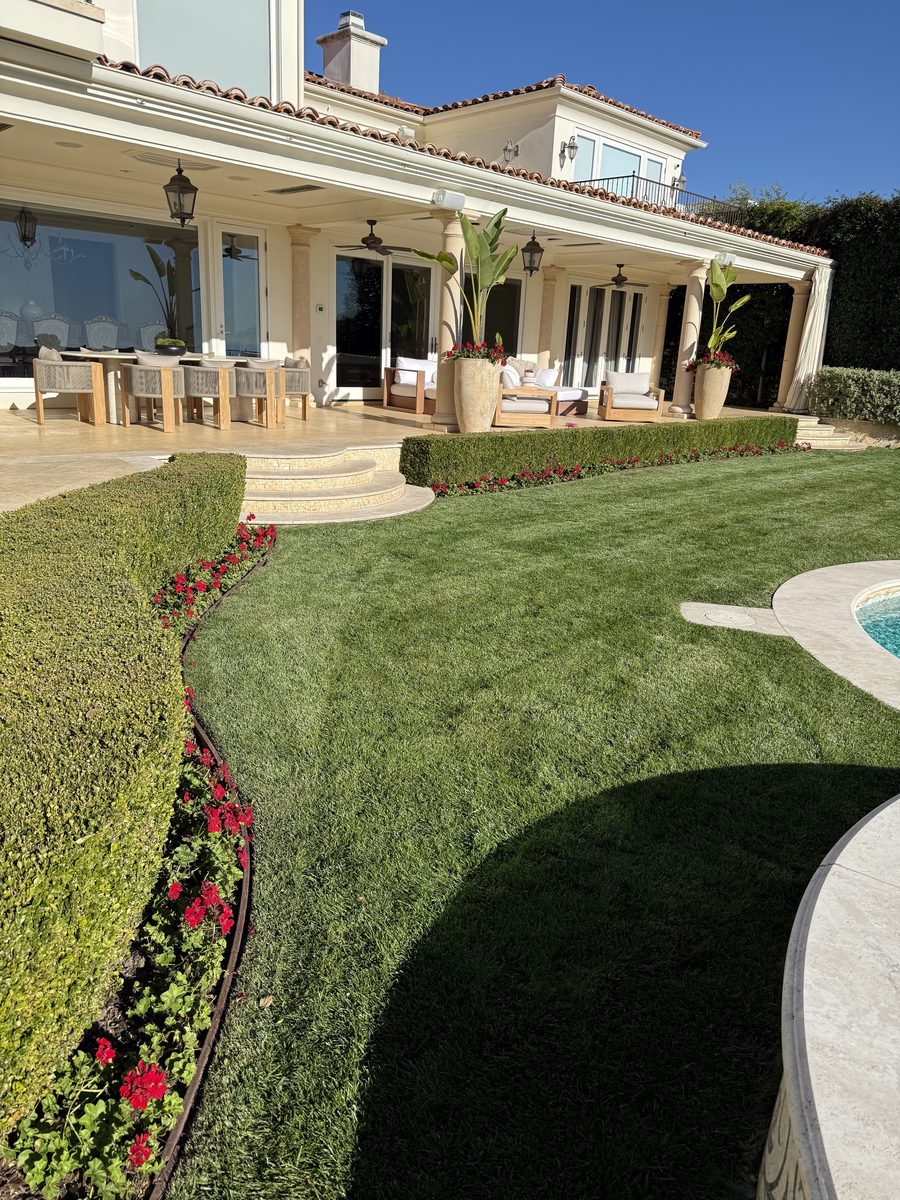 Lawn and turf landscaping project